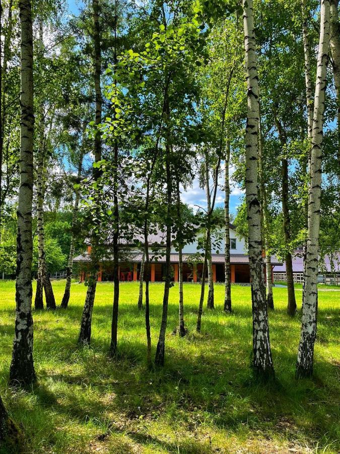 Садиба Бабина Лоза Lisove  Exterior photo